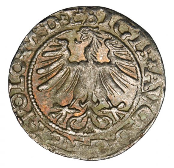 Półgrosz 1565 Zygmunt II August Litwa Wilno (2)