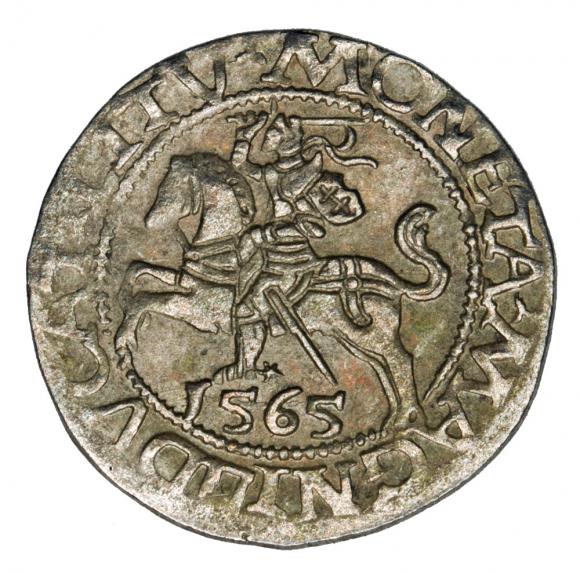 Półgrosz 1565 Zygmunt II August Litwa Wilno (1)