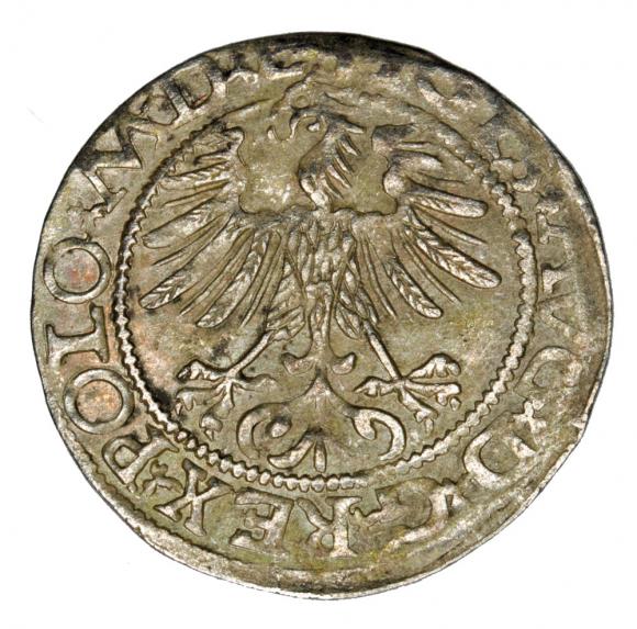 Półgrosz 1565 Zygmunt II August Litwa Wilno (2)