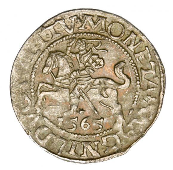 Półgrosz 1565 Zygmunt II August Litwa Wilno (1)
