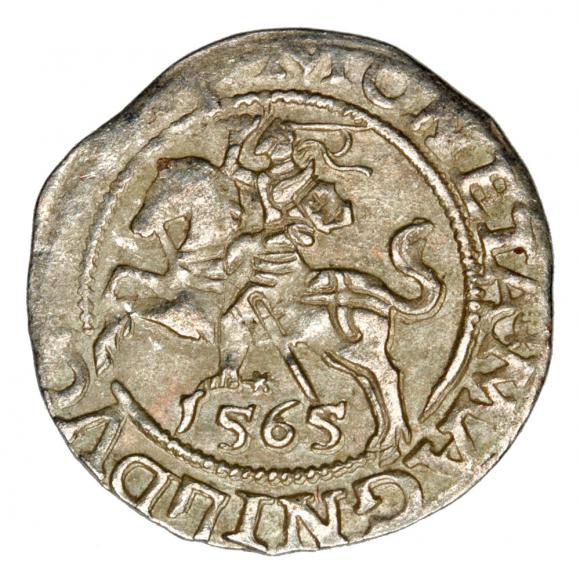 Półgrosz 1565 Zygmunt II August Litwa Wilno (1)