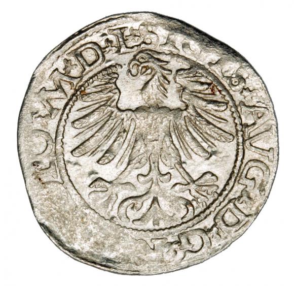 Półgrosz 1565 Zygmunt II August Litwa Wilno (2)