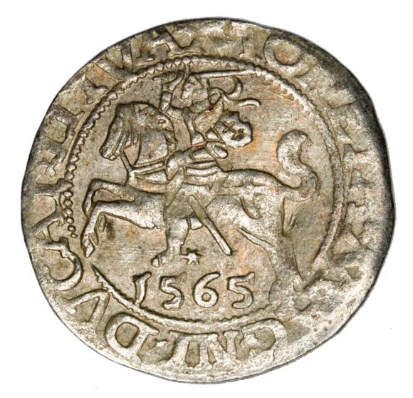 Półgrosz 1565 Zygmunt II August Litwa Wilno (1)