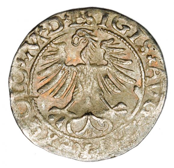 Półgrosz 1565 Zygmunt II August Litwa Wilno (2)