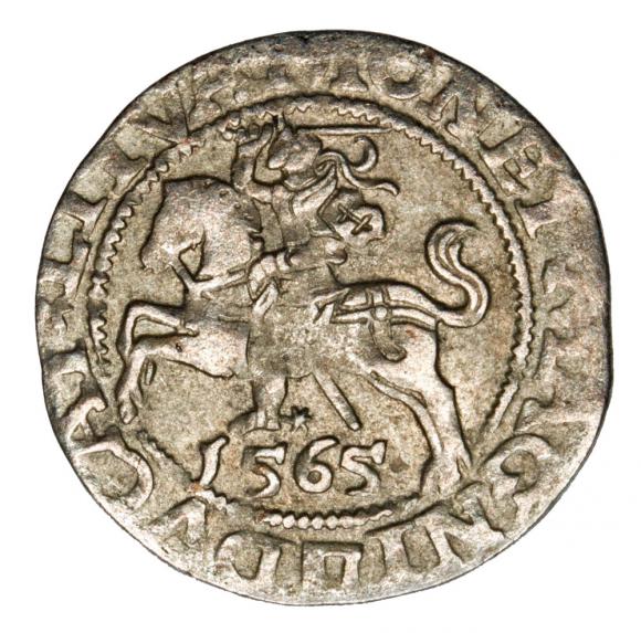 Półgrosz 1565 Zygmunt II August Litwa Wilno (1)