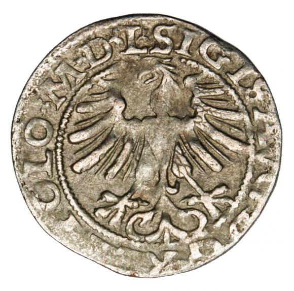 Półgrosz 1565 Zygmunt II August Litwa Wilno (2)