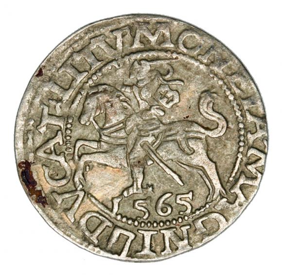 Półgrosz 1565 Zygmunt II August Litwa Wilno (1)