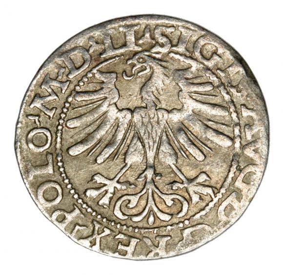 Półgrosz 1565 Zygmunt II August Litwa Wilno (2)