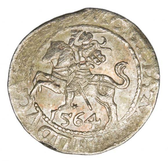 Półgrosz 1564 Zygmunt II August Litwa Wilno (1)