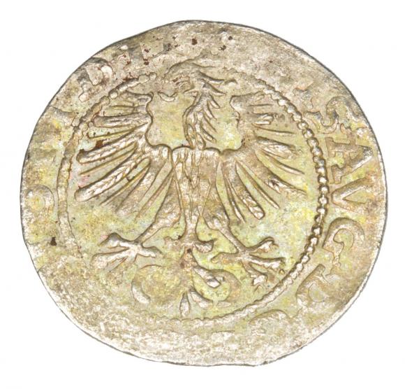 Półgrosz 1564 Zygmunt II August Litwa Wilno (2)