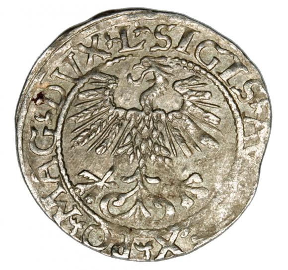 Półgrosz 1561 Zygmunt II August Litwa Wilno (2)