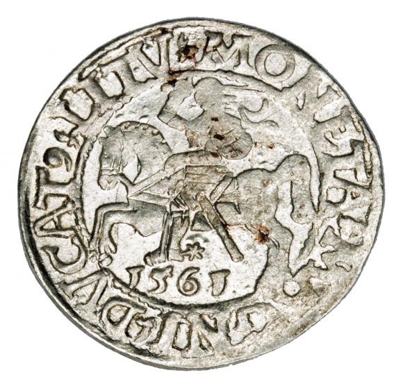 Półgrosz 1561 Zygmunt II August Litwa Wilno (1)