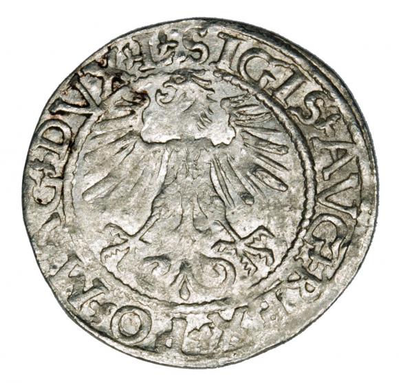 Półgrosz 1561 Zygmunt II August Litwa Wilno (2)