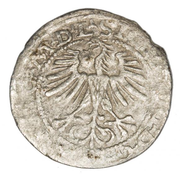 Półgrosz 1564 Zygmunt II August Litwa Wilno (2)
