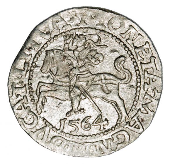 Półgrosz 1564 Zygmunt II August Litwa Wilno (1)