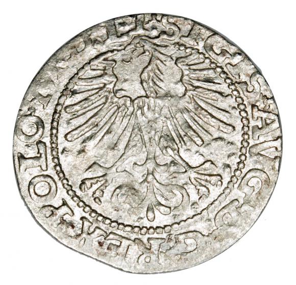 Półgrosz 1564 Zygmunt II August Litwa Wilno (2)