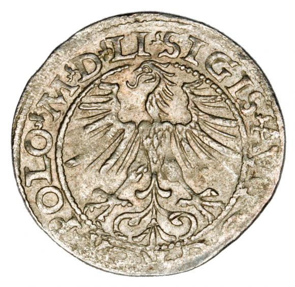 Półgrosz 1564 Zygmunt II August Litwa Wilno (2)
