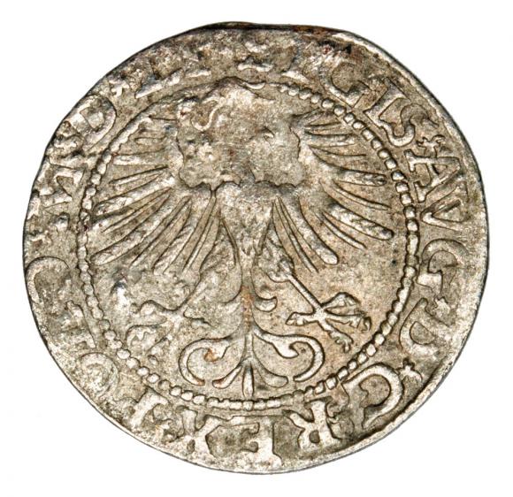 Półgrosz 1564 Zygmunt II August Litwa Wilno (2)