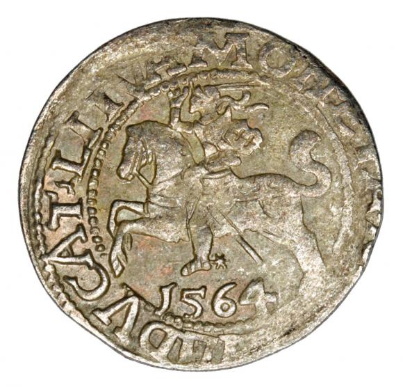 Półgrosz 1564 Zygmunt II August Litwa Wilno (1)