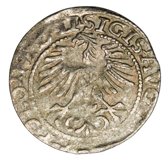 Półgrosz 1564 Zygmunt II August Litwa Wilno (2)
