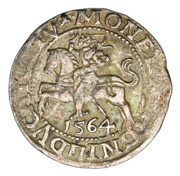 Półgrosz 1564 Zygmunt II August Litwa Wilno (1)