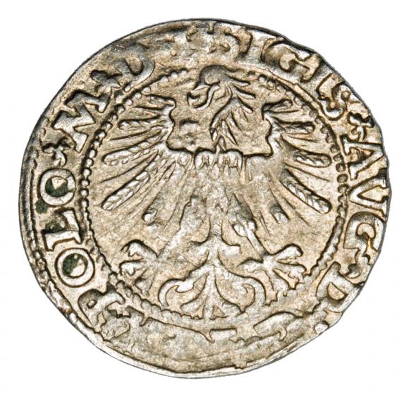 Półgrosz 1563 Zygmunt II August Litwa Wilno (2)