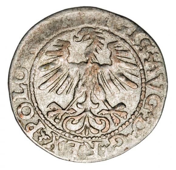 Półgrosz 1563 Zygmunt II August Litwa Wilno (2)