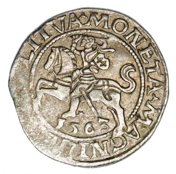 Półgrosz 1563 Zygmunt II August Litwa Wilno (1)