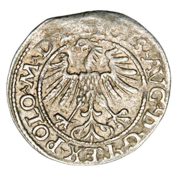 Półgrosz 1563 Zygmunt II August Litwa Wilno (2)