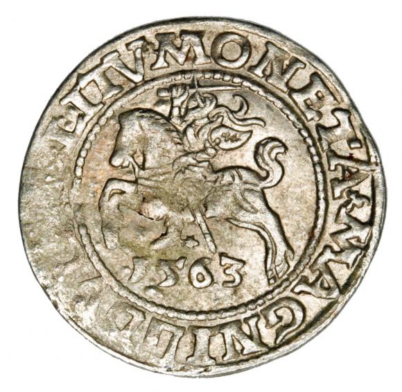 Półgrosz 1563 Zygmunt II August Litwa Wilno (1)