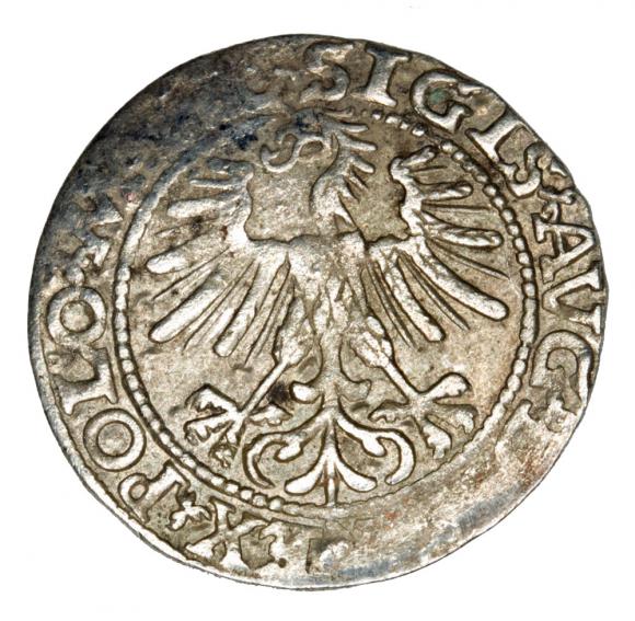 Półgrosz 1563 Zygmunt II August Litwa Wilno (2)