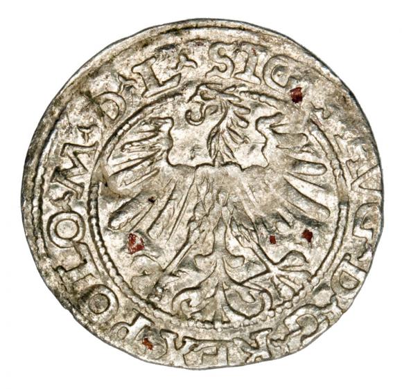 Półgrosz 1563 Zygmunt II August Litwa Wilno (2)