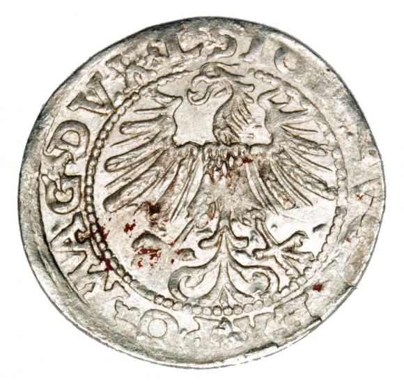 Półgrosz 1563 Zygmunt II August Litwa Wilno (2)