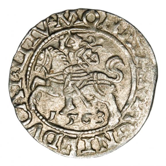 Półgrosz 1563 Zygmunt II August Litwa Wilno (1)