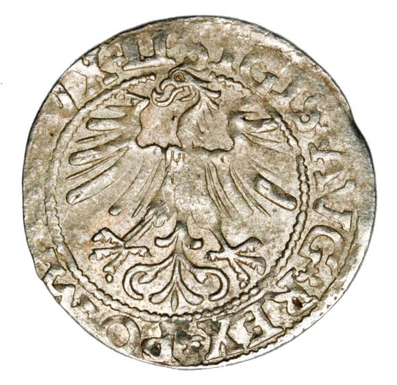 Półgrosz 1562 Zygmunt II August Litwa Wilno (2)