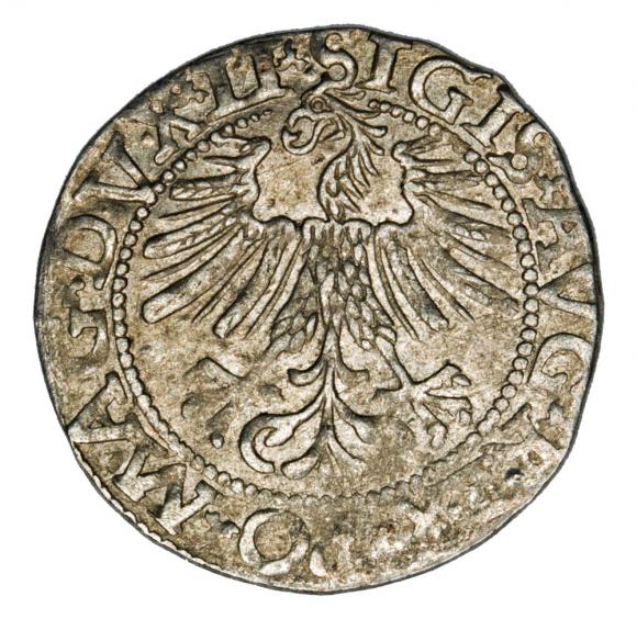 Półgrosz 1562 Zygmunt II August Litwa Wilno (2)