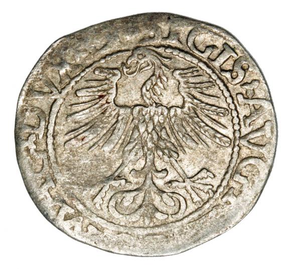 Półgrosz 1562 Zygmunt II August Litwa Wilno (2)