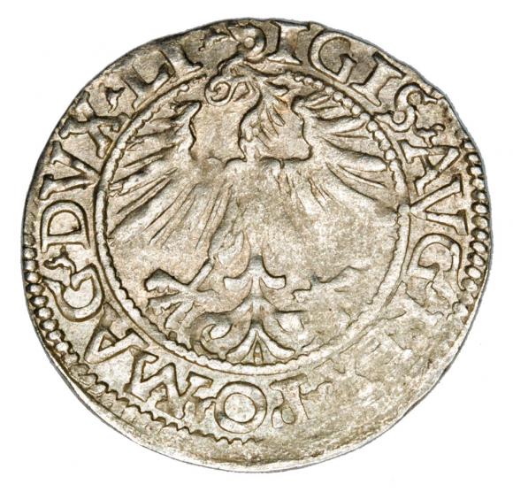 Półgrosz 1562 Zygmunt II August Litwa Wilno (2)