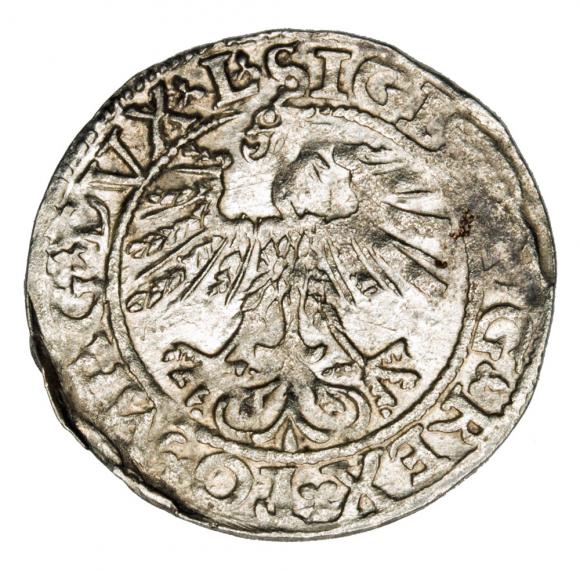 Półgrosz 1562 Zygmunt II August Litwa Wilno (2)