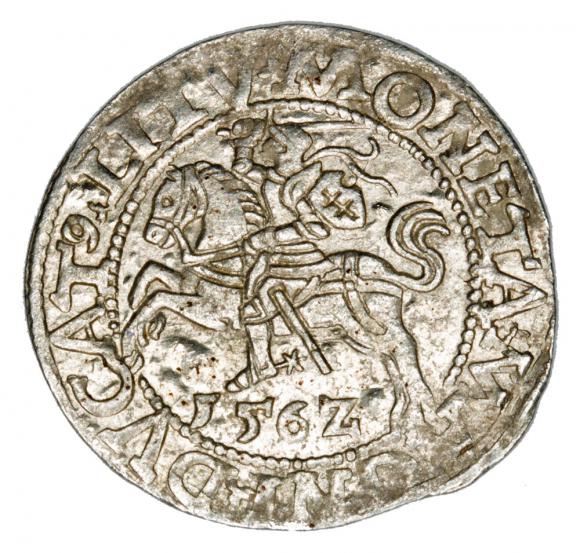 Półgrosz 1562 Zygmunt II August Litwa Wilno (1)