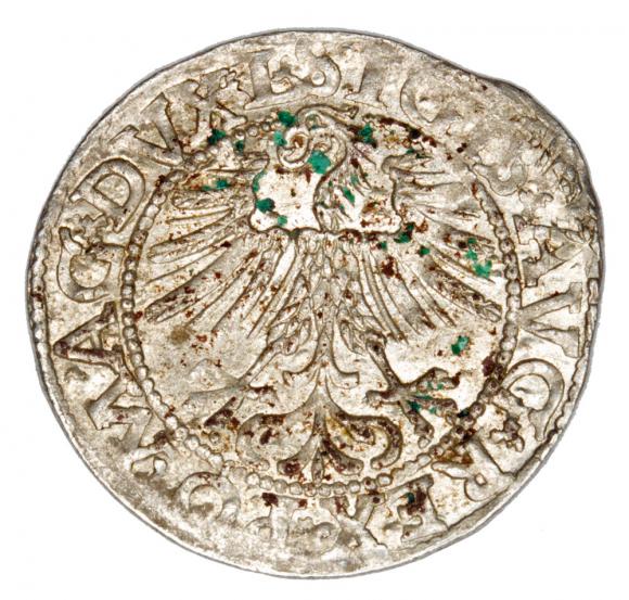 Półgrosz 1562 Zygmunt II August Litwa Wilno (2)