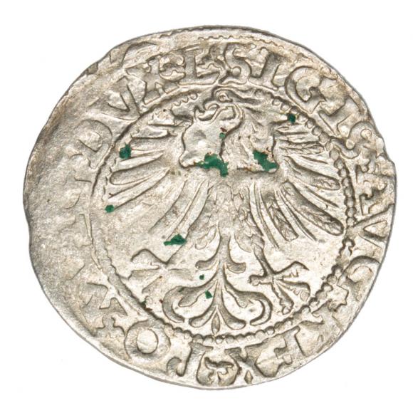 Półgrosz 1562 Zygmunt II August Litwa Wilno (2)