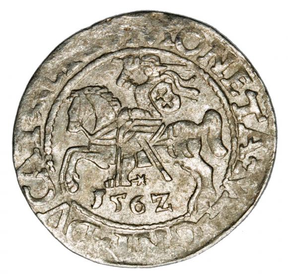 Półgrosz 1562 Zygmunt II August Litwa Wilno (1)