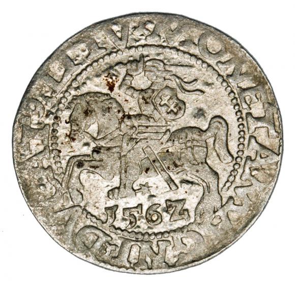 Półgrosz 1562 Zygmunt II August Litwa Wilno (1)
