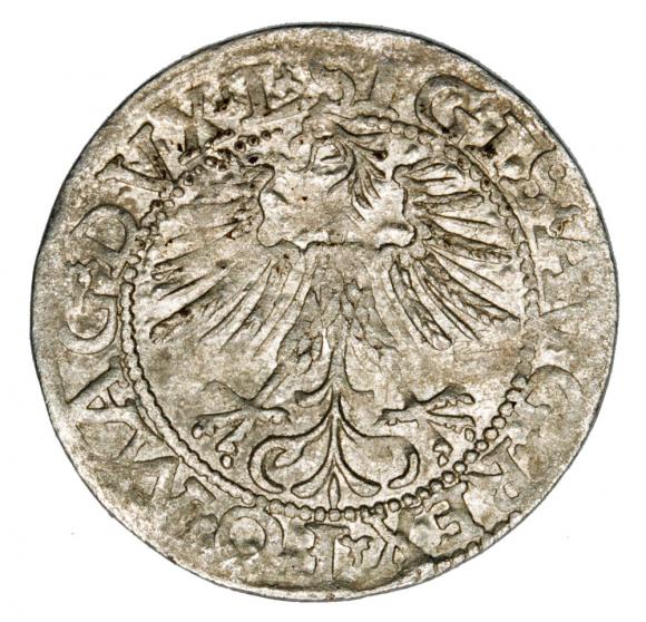 Półgrosz 1562 Zygmunt II August Litwa Wilno (2)