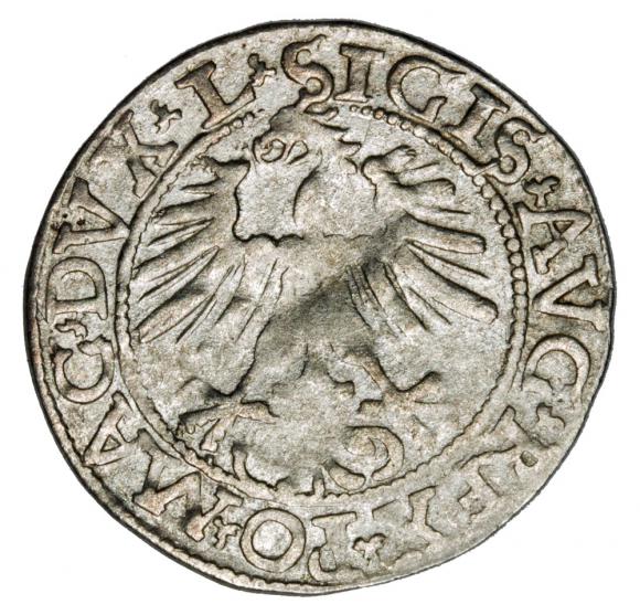 Półgrosz 1562 Zygmunt II August Litwa Wilno (2)