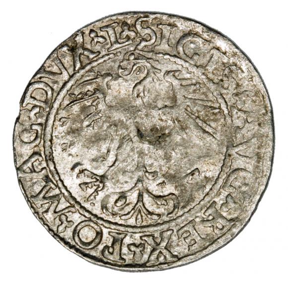 Półgrosz 1562 Zygmunt II August Litwa Wilno (2)