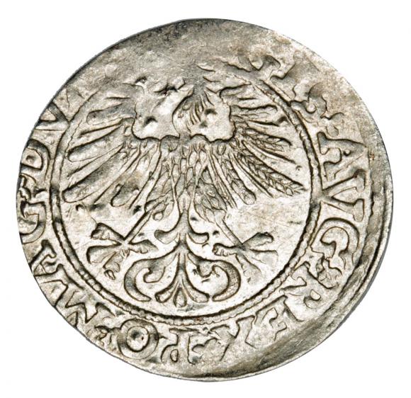 Półgrosz 1561 Zygmunt II August Litwa Wilno (2)