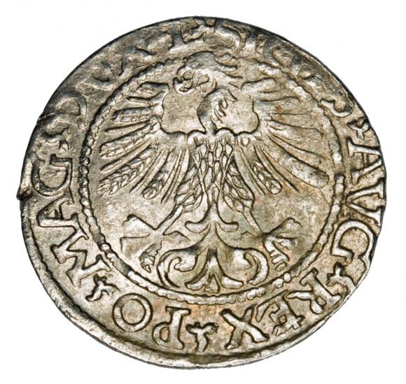 Półgrosz 1561 Zygmunt II August Litwa Wilno (2)