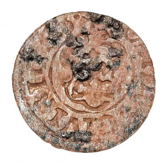 Szeląg 1663 Karol XI Ryga (2)
